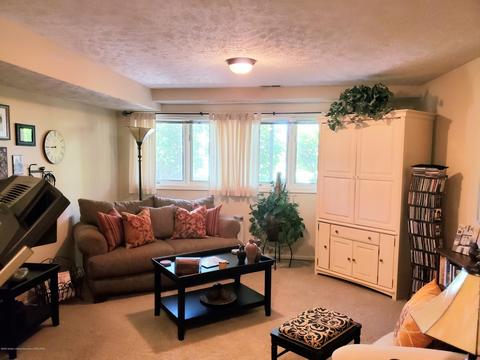 1322 Brookside Dr, Lansing, MI 48917 photo 27