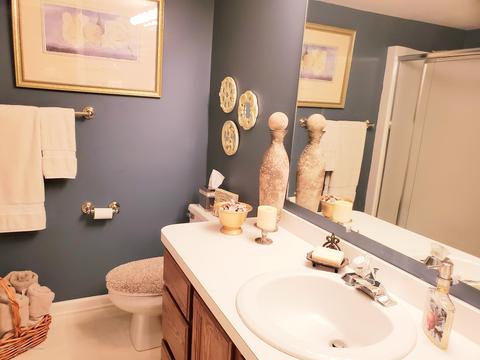 1322 Brookside Dr, Lansing, MI 48917 photo 36