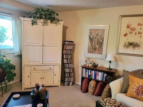 1322 Brookside Dr, Lansing, MI 48917 photo 28