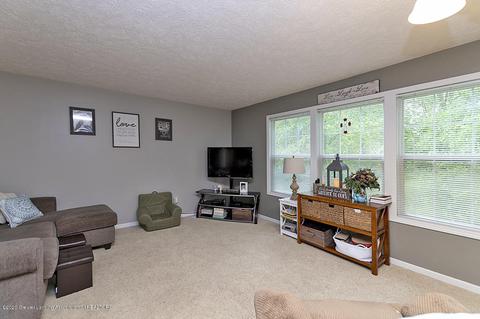 121 W Webb Rd, Dewitt, MI 48820 photo 6