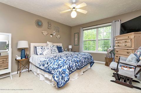 121 W Webb Rd, Dewitt, MI 48820 photo 14