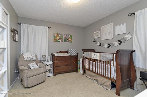 121 W Webb Rd, Dewitt, MI 48820 photo 18