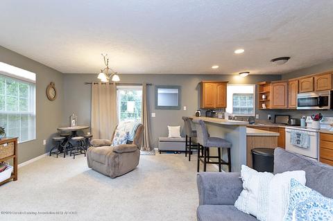 121 W Webb Rd, Dewitt, MI 48820 photo 8