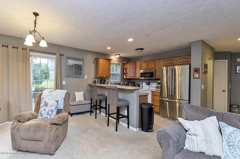 121 W Webb Rd, Dewitt, MI 48820 photo 7