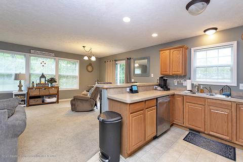 121 W Webb Rd, Dewitt, MI 48820 photo 9