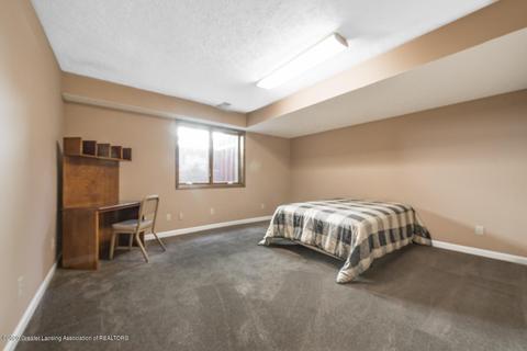338 N Bridge St, Dimondale, MI 48821 photo 29