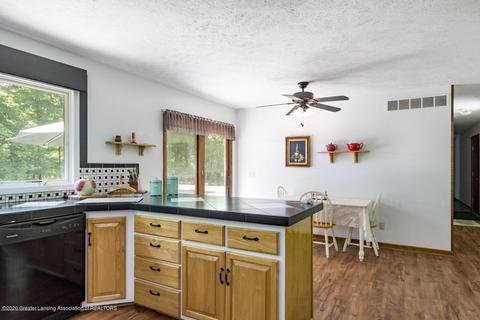 338 N Bridge St, Dimondale, MI 48821 photo 11