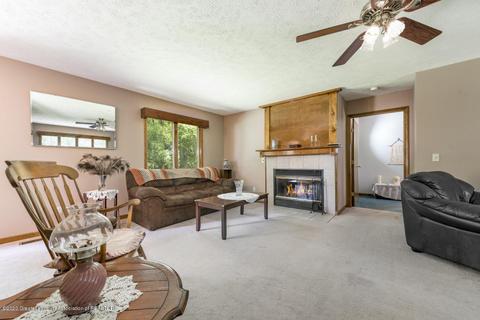 338 N Bridge St, Dimondale, MI 48821 photo 6