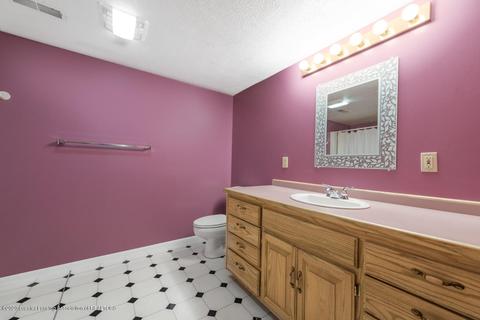 338 N Bridge St, Dimondale, MI 48821 photo 31
