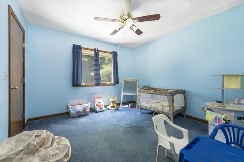338 N Bridge St, Dimondale, MI 48821 photo 21
