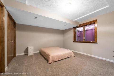 338 N Bridge St, Dimondale, MI 48821 photo 30