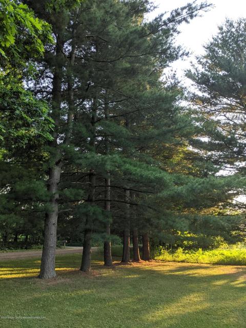 6320 E Winegar Rd, Perry, MI 48872 photo 29