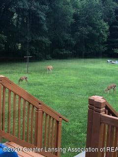 6320 E Winegar Rd, Perry, MI 48872 photo 27