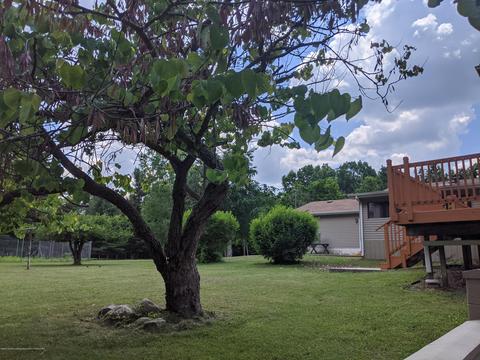 6320 E Winegar Rd, Perry, MI 48872 photo 30