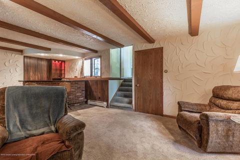 13064 Francis Rd, Dewitt, MI 48820 photo 14