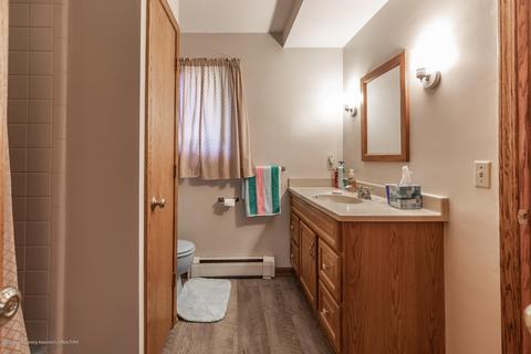 13064 Francis Rd, Dewitt, MI 48820 photo 19