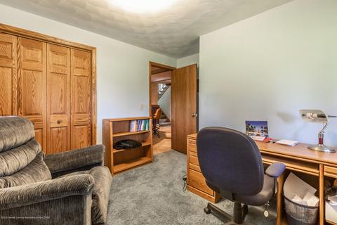 13064 Francis Rd, Dewitt, MI 48820 photo 23