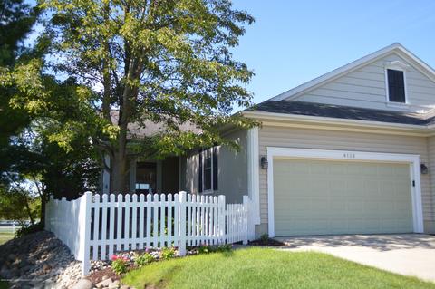 4128 Hamlet Cv, Bath, MI 48808 photo 30