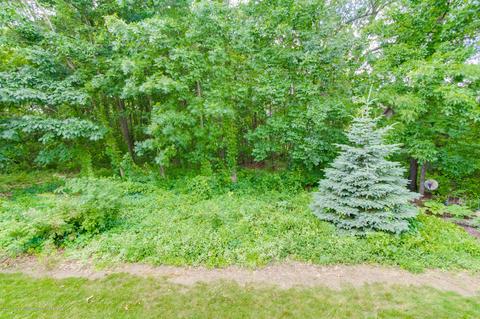 7772 Forestview Dr, Haslett, MI 48840 photo 37