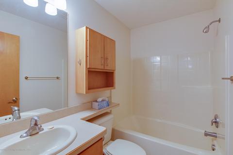 7772 Forestview Dr, Haslett, MI 48840 photo 22