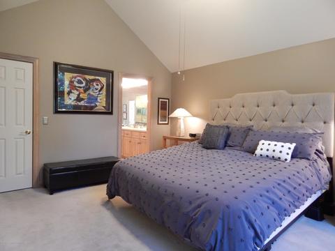 16797 Cedarbrook Dr, Haslett, MI 48840 photo 28