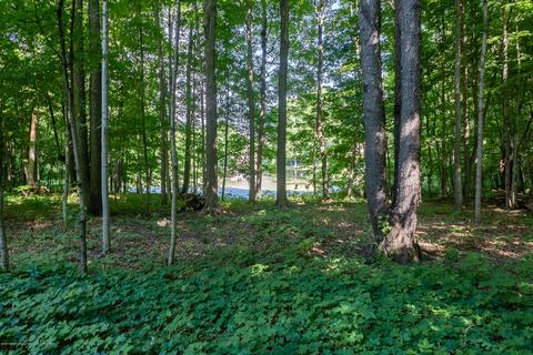 714 Tanbark Dr, Dimondale, MI 48821 photo 48