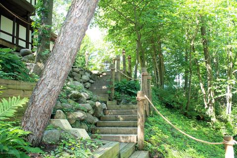4130 Thatcher Rd, Williamston, MI 48895 photo 54
