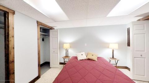 4130 Thatcher Rd, Williamston, MI 48895 photo 34