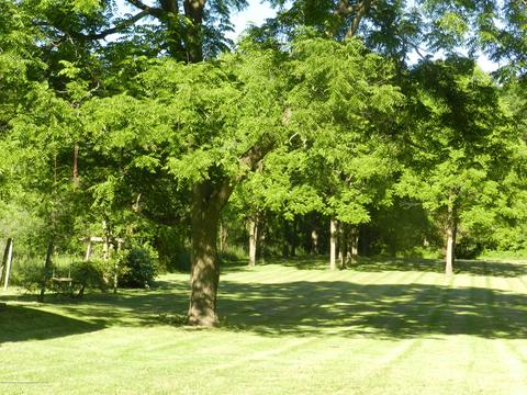 11787 S Us Highway 27, Dewitt, MI 48820 photo 21