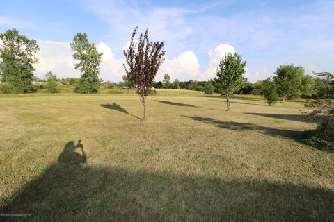 6855 Howe Rd, Dewitt, MI 48820 photo 39
