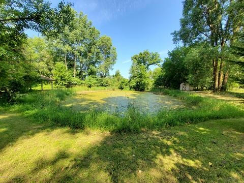 6275 Reeder Rd, Lyons, MI 48851 photo 16