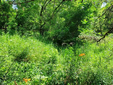 6275 Reeder Rd, Lyons, MI 48851 photo 7