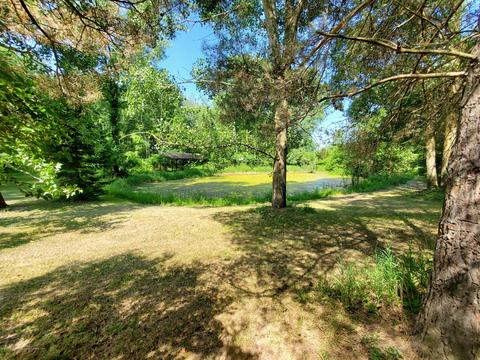 6275 Reeder Rd, Lyons, MI 48851 photo 11