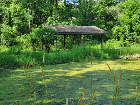6275 Reeder Rd, Lyons, MI 48851 photo 13