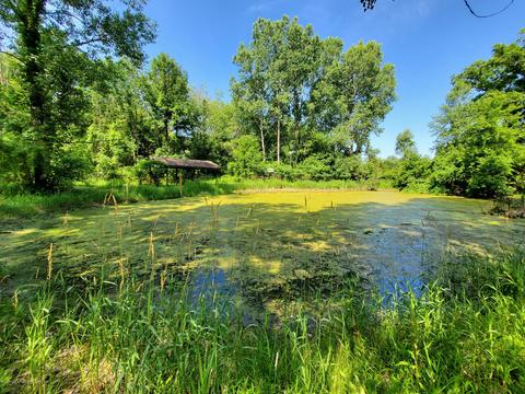 6275 Reeder Rd, Lyons, MI 48851 photo 12
