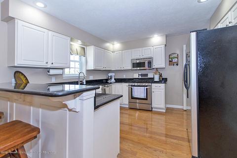 12704 Ospreys Way, Dewitt, MI 48820 photo 12