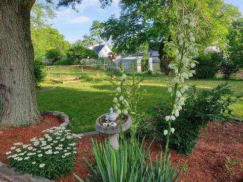 1789 N Aurelius Rd, Holt, MI 48842 photo 3