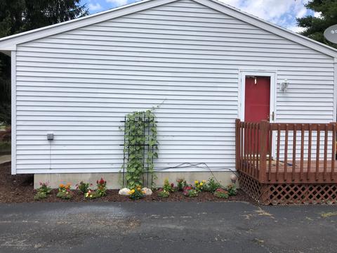6217 Daft St, Lansing, MI 48911 photo 24