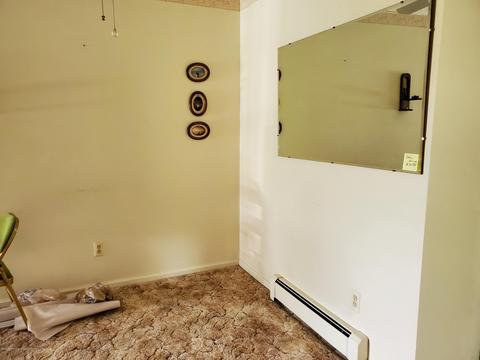 950 Riverview Ct, Williamston, MI 48895 photo 7