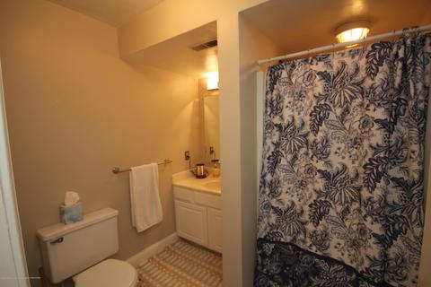 4115 Driftwood Dr, Dewitt, MI 48820 photo 19