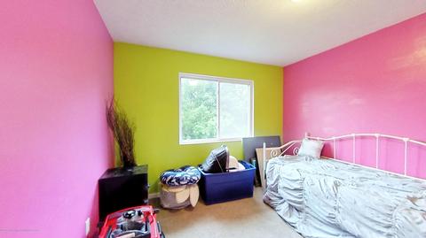 250 N Garfield St, Maple Rapids, MI 48853 photo 20