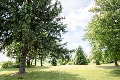 13625 Oakes Rd, Perry, MI 48872 photo 45