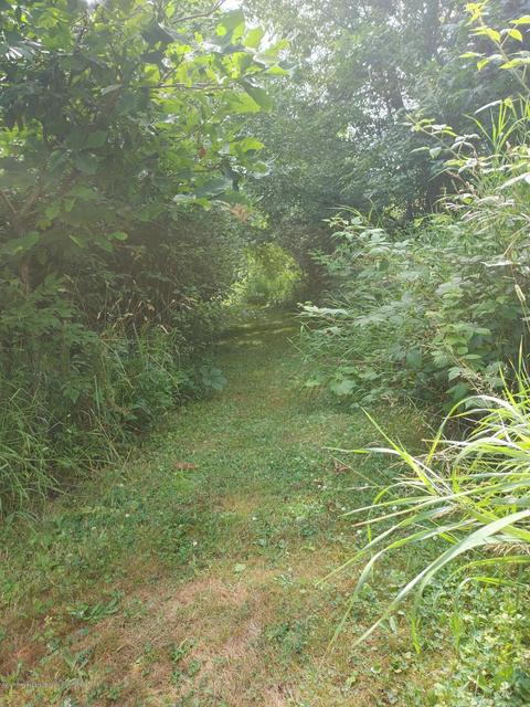 636 N Eifert Rd, Mason, MI 48854 photo 21