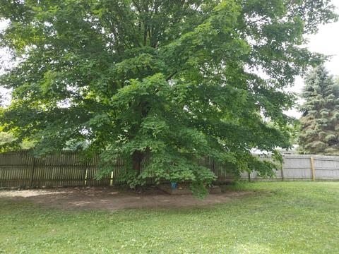 636 N Eifert Rd, Mason, MI 48854 photo 18