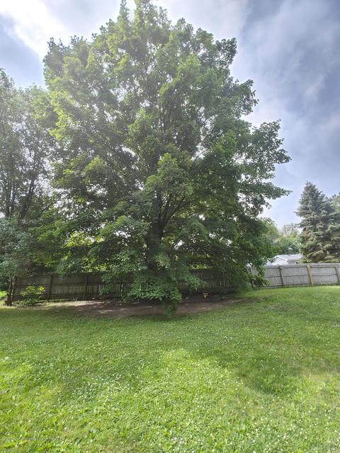 636 N Eifert Rd, Mason, MI 48854 photo 17