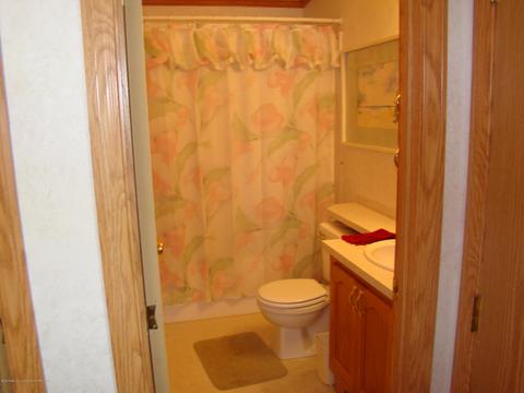 255 E Baseline Hwy, Olivet, MI 49076 photo 17
