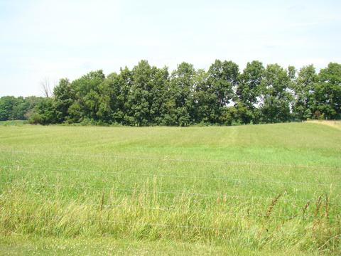255 E Baseline Hwy, Olivet, MI 49076 photo 7