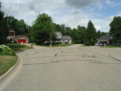 707 Larchmont St, Dewitt, MI 48820 photo 70