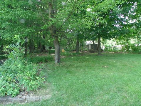 707 Larchmont St, Dewitt, MI 48820 photo 60