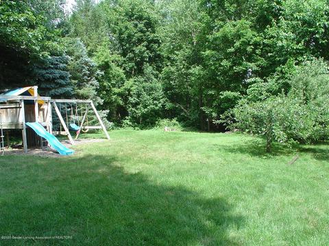 707 Larchmont St, Dewitt, MI 48820 photo 59